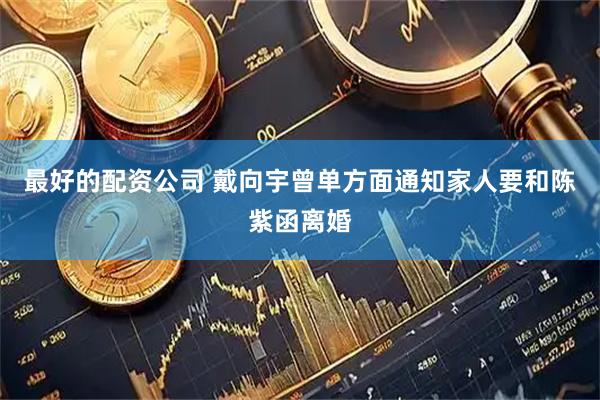 最好的配资公司 戴向宇曾单方面通知家人要和陈紫函离婚