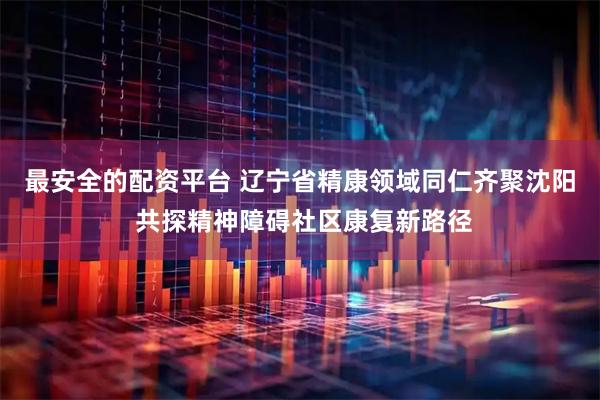 最安全的配资平台 辽宁省精康领域同仁齐聚沈阳 共探精神障碍社区康复新路径