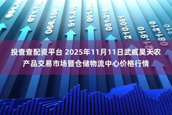 投查查配资平台 2025年11月11日武威昊天农产品交易市场暨仓储物流中心价格行情
