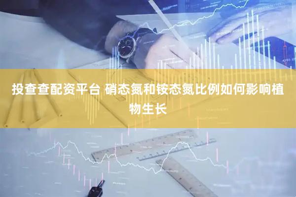 投查查配资平台 硝态氮和铵态氮比例如何影响植物生长